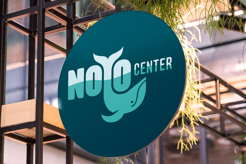 Noyo Center